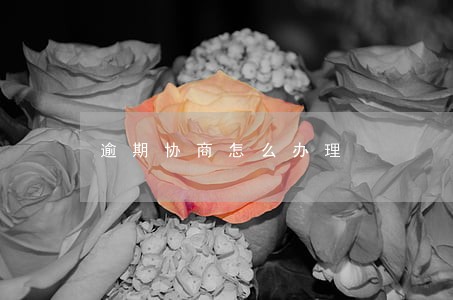 逾期协商怎么办理 逾期协商怎么办理