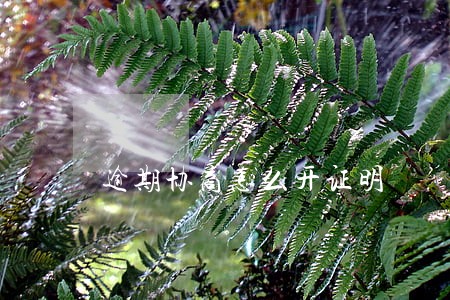 逾期协商怎么开证明 逾期协商怎么开证明