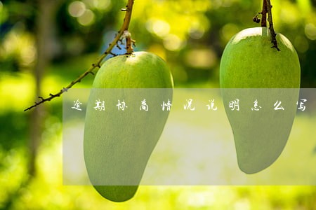 逾期协商情况说明怎么写 逾期协商情况说明怎么写