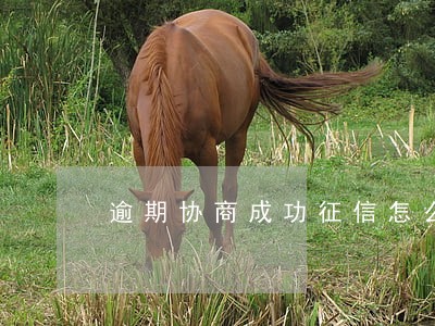 逾期协商成功征信怎么显示