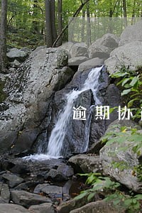 逾期协商打征信报告 逾期协商打征信报告