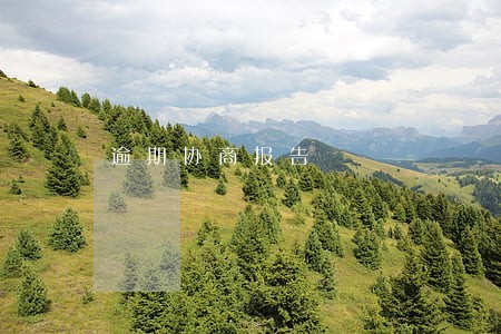逾期协商报告 逾期协商报告
