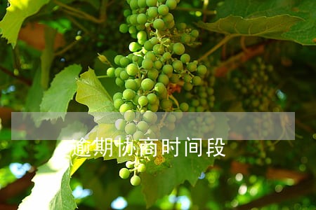 逾期协商时间段 逾期协商时间段