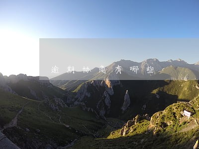 逾期协商有哪些