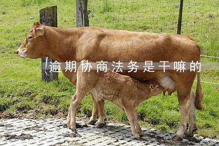 逾期协商法务是干嘛的 逾期协商法务是干嘛的