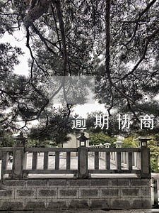 逾期协商电话怎么打 逾期协商电话怎么打