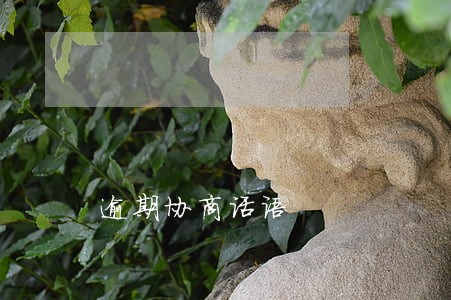 逾期协商话语 逾期协商话语