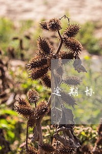 逾期协商详解教程 逾期协商详解教程