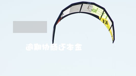 逾期协商还本金 逾期协商还本金