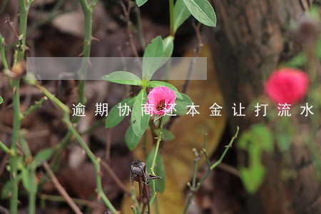 逾期协商还本金让打流水