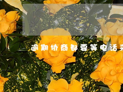 逾期协商都要等电话来谈 逾期协商都要等电话来谈