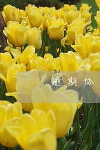 逾期协商银监会 逾期协商银监会