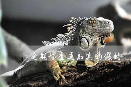 逾期协查通知真的假的 逾期协查通知真的假的