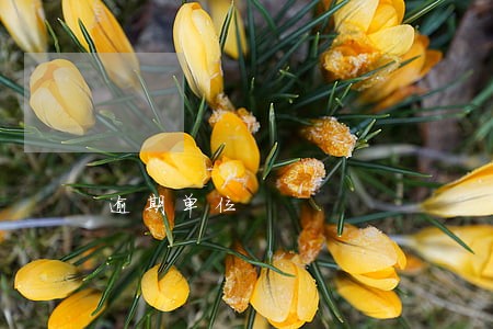 逾期单位 逾期单位