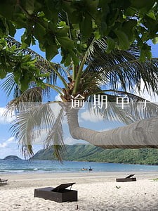 逾期单子显示姓名和卡号吗