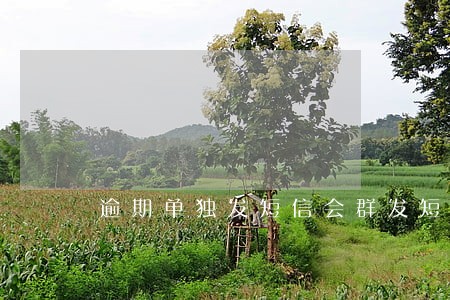 逾期单独发短信会群发短信吗 逾期单独发短信会群发短信吗