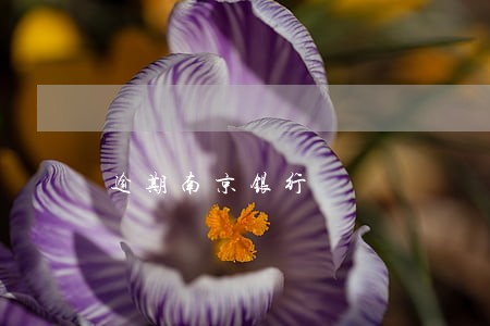 逾期南京银行 逾期南京银行