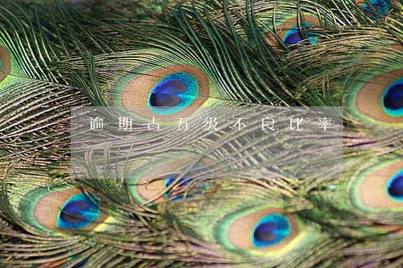 逾期占五级不良比率 逾期占五级不良比率
