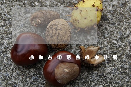 逾期占用资金成本计算 逾期占用资金成本计算