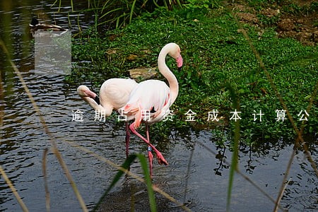 逾期占用资金成本计算公式 逾期占用资金成本计算公式
