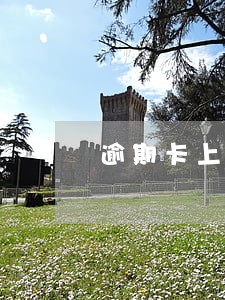 逾期卡上有钱会扣吗 逾期卡上有钱会扣吗