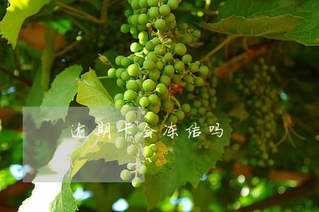 逾期卡会冻结吗 逾期卡会冻结吗
