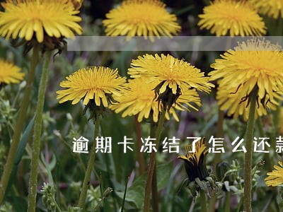 逾期卡冻结了怎么还款 逾期卡冻结了怎么还款