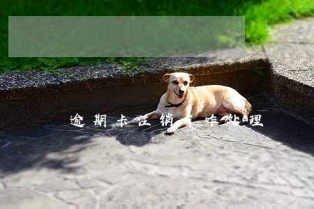 逾期卡注销了咋处理 逾期卡注销了咋处理