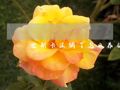逾期卡注销了怎么养征信 逾期卡注销了怎么养征信