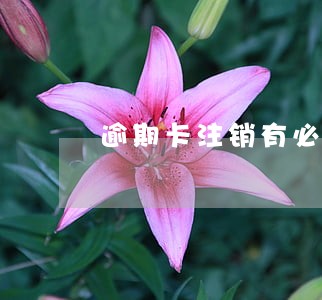 逾期卡注销有必要再办信用卡吗 逾期卡注销有必要再办信用卡吗