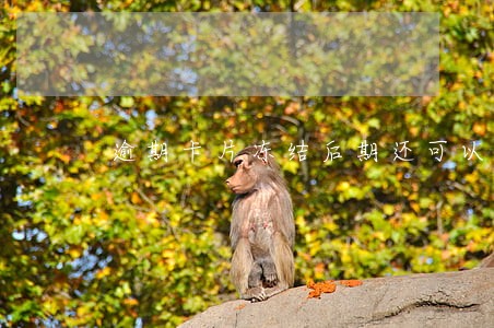 逾期卡片冻结后期还可以恢复吗 逾期卡片冻结后期还可以恢复吗