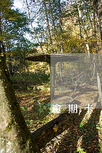 逾期卡片状态异常多久恢复 逾期卡片状态异常多久恢复