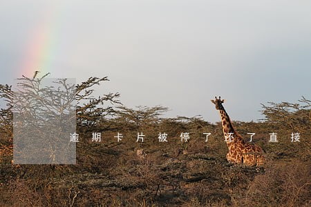 逾期卡片被停了还了直接注销好吗 逾期卡片被停了还了直接注销好吗