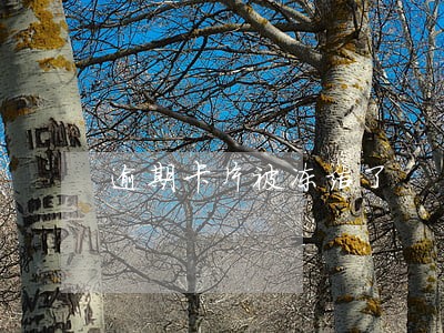 逾期卡片被冻结了 逾期卡片被冻结了