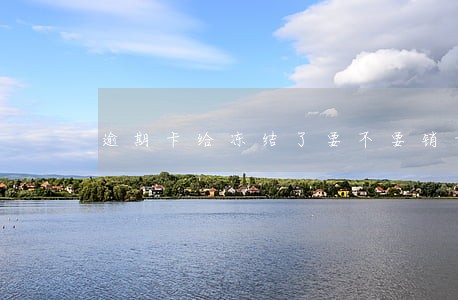 逾期卡给冻结了要不要销卡 逾期卡给冻结了要不要销卡