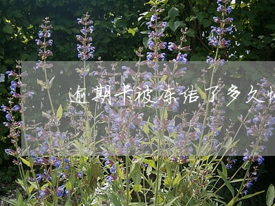 逾期卡被冻结了多久恢复 逾期卡被冻结了多久恢复