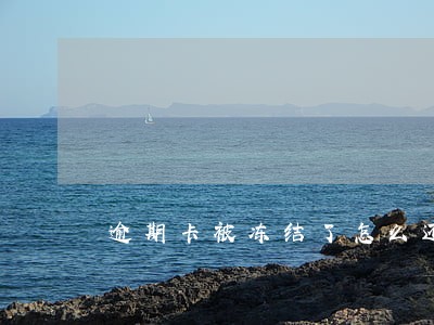 逾期卡被冻结了怎么还款 逾期卡被冻结了怎么还款