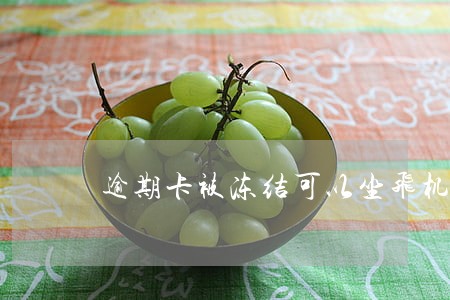 逾期卡被冻结可以坐飞机么