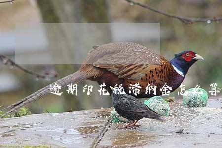 逾期印花税滞纳金怎么算 逾期印花税滞纳金怎么算