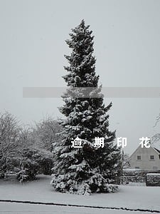 逾期印花税网上申报流程 逾期印花税网上申报流程