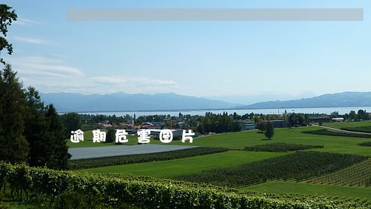 逾期危害图片 逾期危害图片