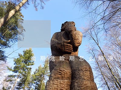 逾期危险期怎么解决 逾期危险期怎么解决