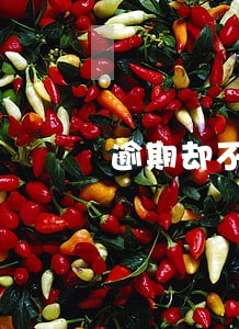 逾期却不在失信人名单 逾期却不在失信人名单