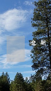 逾期卷烟包装物押金消费税率 逾期卷烟包装物押金消费税率
