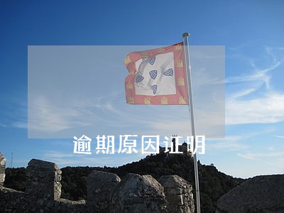 逾期原因证明 逾期原因证明
