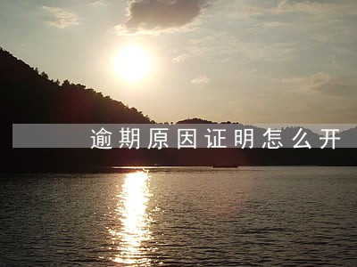逾期原因证明怎么开 逾期原因证明怎么开