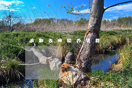 逾期去哪能办贷款 逾期去哪能办贷款