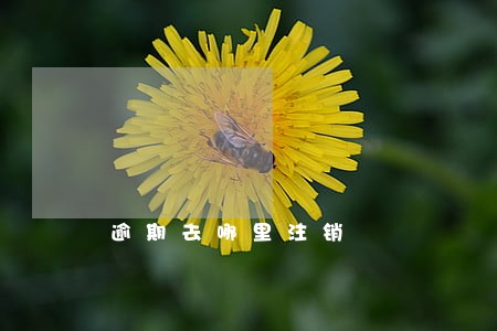 逾期去哪里注销