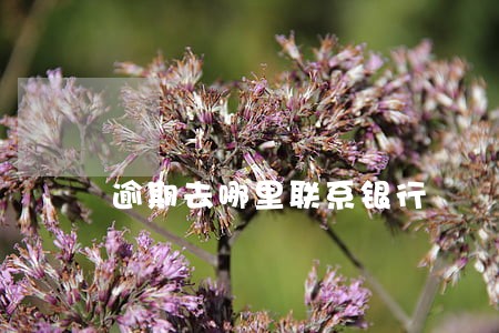 逾期去哪里联系银行 逾期去哪里联系银行
