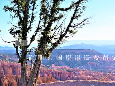逾期去国税报道要罚金么 逾期去国税报道要罚金么